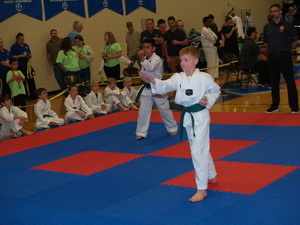 Taekwondo Youth (Ages 7-9)