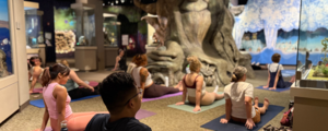 Yoga at the Museum