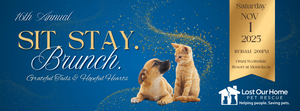 Get Tickets for Lost Our Home Pet Rescue’s 16th Annual Sit. Stay. Brunch.
