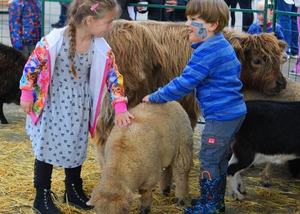 Family Fall Fest at The Bruce Company