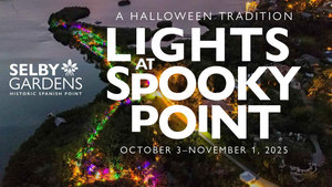 Lights at Spooky Point