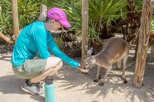 adult camp - Brevard Zoo