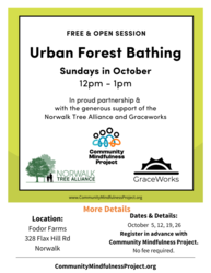 Urban Forest Bathing with Community Mindfulness Project