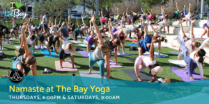 Namaste at The Bay Yoga