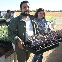 Gibson Farm Market Fall Plant Sale