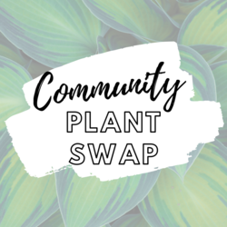 Plant Swap