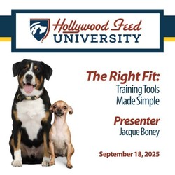 Hollywood Feed Presents “The Right Fit: Training Tools Made Simple”