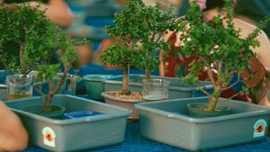Bonsai & Brews at Bullfrog Creek Brewing Co. | Valrico