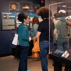 ArtsThursdays at the Harvard Museums of Science & Culture