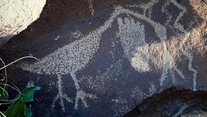 Guided Hike of Piedras Marcadas Canyon