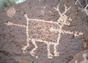 Guided hike of Piedras Marcadas Canyon