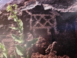 Guided Hike of Piedras Marcadas Canyon