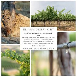 On of the Top 25 Vineyards in the World: Klipsun