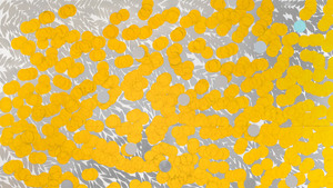Donald Sultan: Flowers & Forms