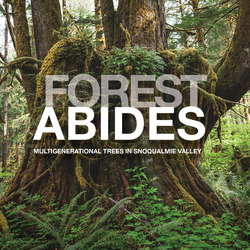 Fall Show Opening: Forest Abides