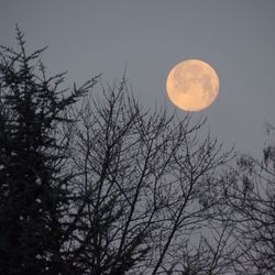 Join Wildlands Conservancy on Our Hoot Hike Adventure! -