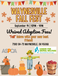 Waynesville Fall Fest Adoption Event