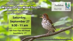 Wonders of the Wood Thrush Nature Hike