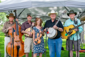 Concerts @ the Library: No Strings Attached