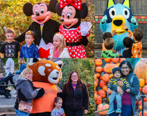 Family Fun Nights at Jack-O-Lantern Spectacular