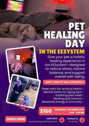 🐾 Pet Healing Day in the EESystem