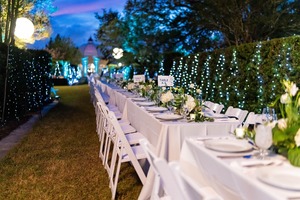 Magic in the Moonlight