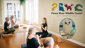 Yoga for a Cause: A Community Class for PRWC