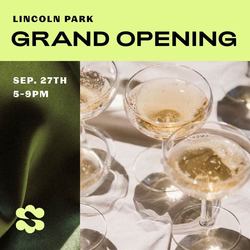 SpaDerma Lincoln Park Grand Opening Party