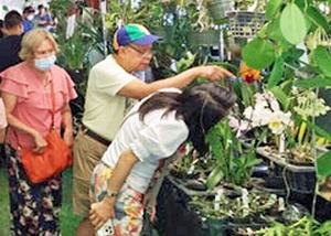 Fascination of Orchids and Exotic Plants Festival