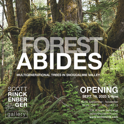 Fall Show Opening: Forest Abides