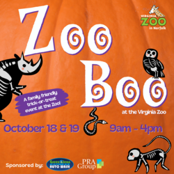 ZooBoo