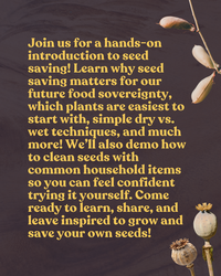 Seed Saving Workshop at Kindness Farm