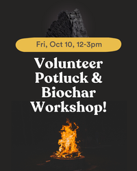 Volunteer Potluck and Biochar Workshop at Kindness Farm