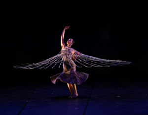 MOMIX: Dance Performance