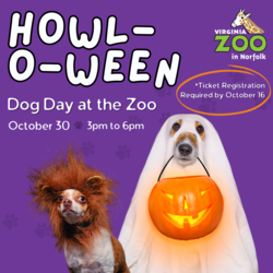 Howl-o-ween: Dog Day at the Zoo
