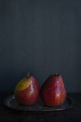 Food Stories Closing Reception