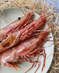 Dove's Deluxe Dinner with Regalis Foods