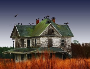 Profs & Pints Northern Virginia: The Haunted House