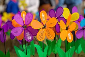 Walk to End Alzheimer's - Rochester