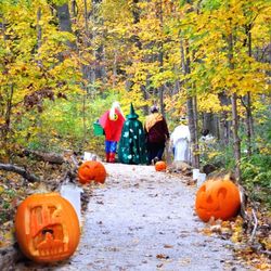 Magic Forest Halloween Hikes with Characters
