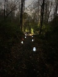2025 JACK-O-LANTERN HIKE  A Magic Forest Halloween Event