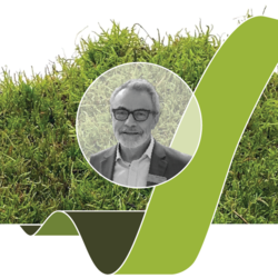 A Window Into the Universe of Mosses