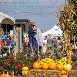 THE YARD AT FISHERS DISTRICT INVITES THE COMMUNITY TO FALL-A-PALOOZA