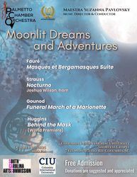 Moonlit Dreams and Adventures
