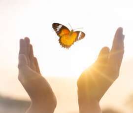 Tuesday Simply Meditate