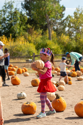 Pumpkin Harvest Festival