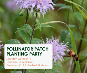 Pollinator Patch Planting Party