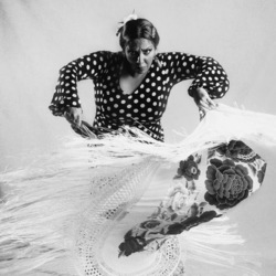 Casa Flamenca Fall Tablao Series