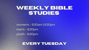 Weekly Bible Studies