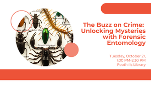 The Buzz on Crime: Unlocking Mysteries with Forensic Entomology